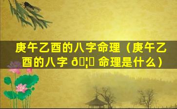 庚午乙酉的八字命理（庚午乙酉的八字 🦉 命理是什么）